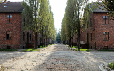 Parcours mémoriel et musical : visite d’Auschwitz-Birkenau & concert à Cracovie